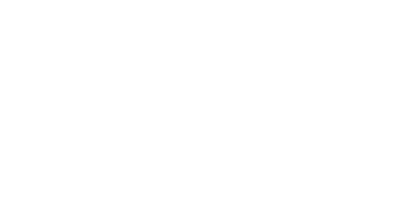 MAG FESTIVAL